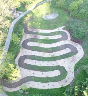 Jungle_comestible_base_original